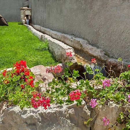 Il Frantoio A Monte-Vicino Al Lago Malcesine Kültér fotó